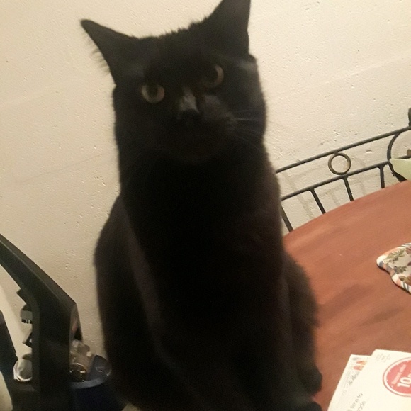 Cheeky weeks!!!!!!! - Picture 1 of 1